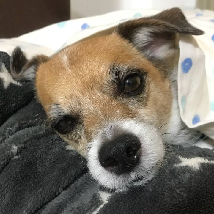 410cd555 4475 42d7 8d34 8272b273f765 1531289083549