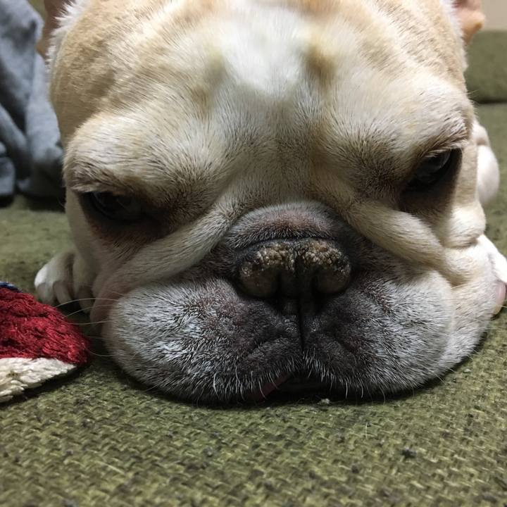 410d31ae 45bd 4782 83ed ab0b90b177ee 1515154180432