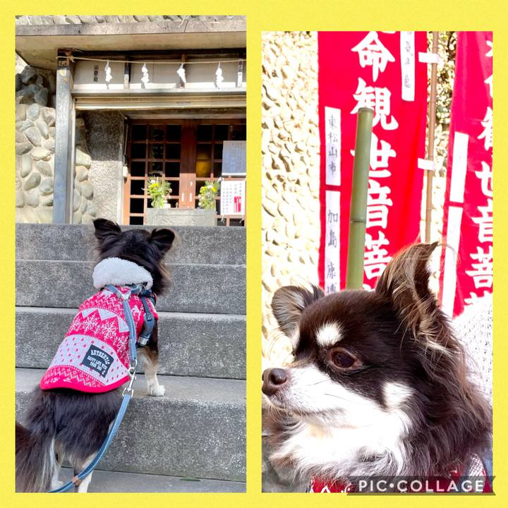 410d3877 8a27 4c63 9489 09d6fb23191e 1611317140869