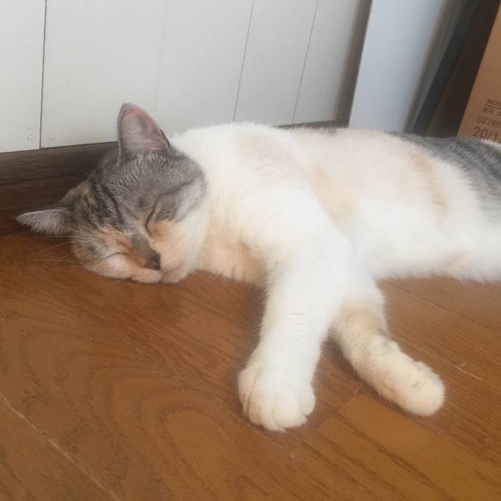 410d4263 1e87 4bb0 ad73 3bef84f308cb 1570257501480