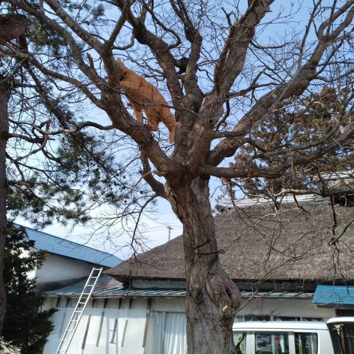 410d547d b6a8 402f a091 042ab71d9ea6 1710490612526