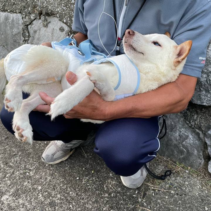 410d75d1 f08d 4edf 9545 078c6e359757 1663683437527