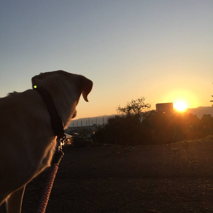 410d8393 2127 4f95 b10b a4fab6fb37e9 1568718506893