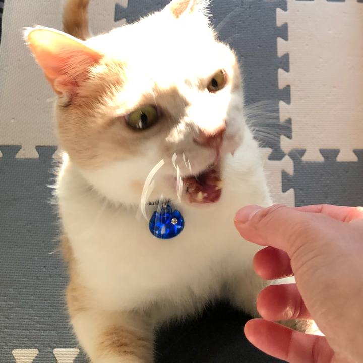 410d8549 34e2 4f2f 907f 2a72ba7a0d6f 1520981082540