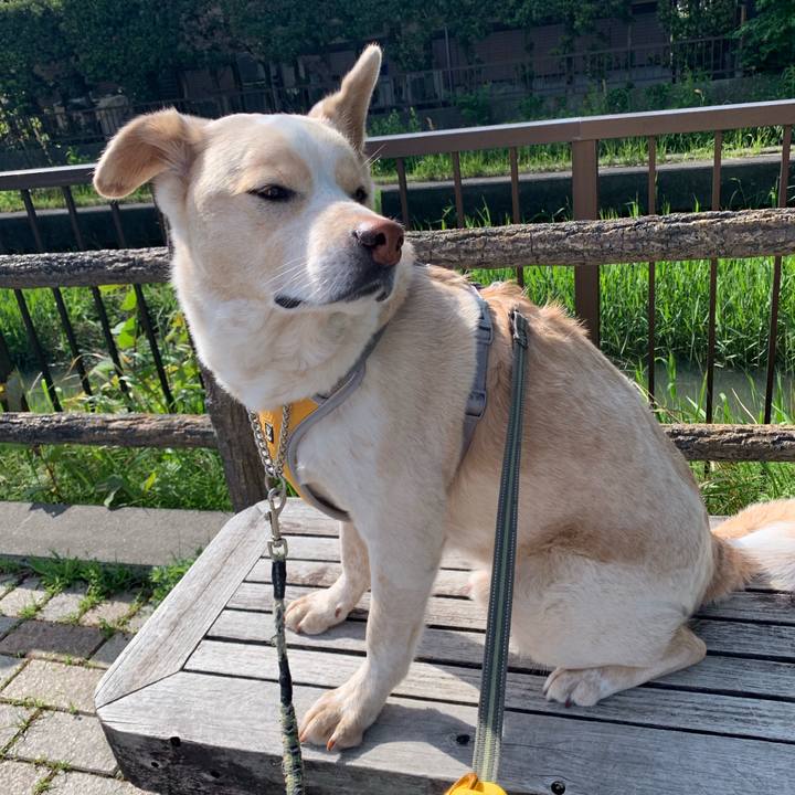 410d858e a764 4a88 b07d a685e4b314c6 1556762225049