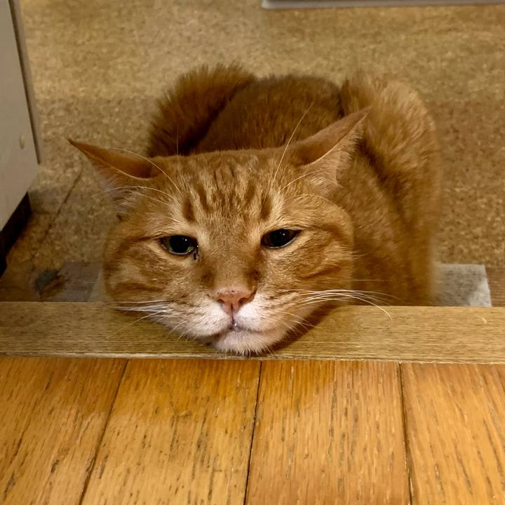 410d8eda 3e31 4f5d 8c19 18d3eae69399 1635255730822