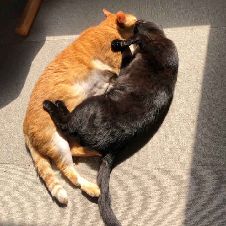 410dc22d b1c0 4295 b3cc 7d681d8c6f63 1688256532218