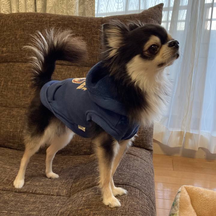 410dcbe5 d6e5 4fad bddd 813143822f46 1701600519870