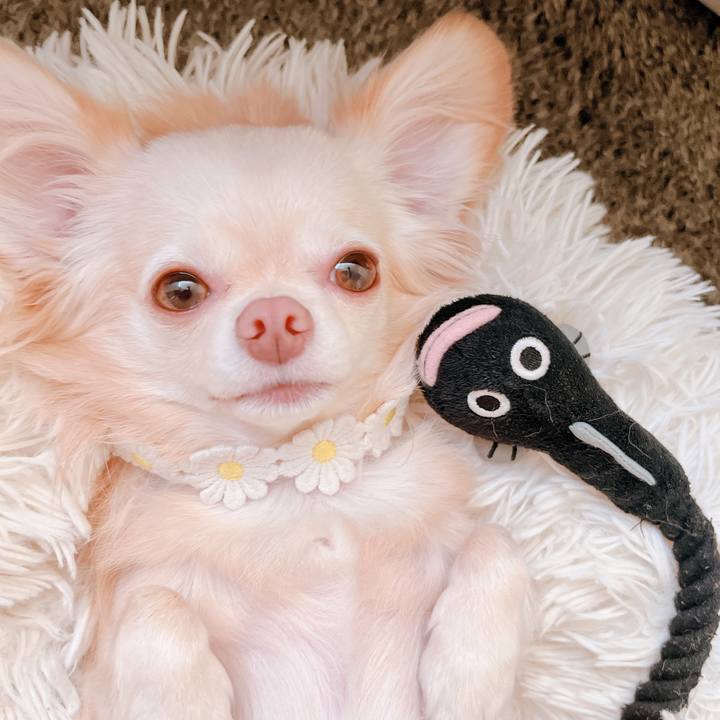 410dd377 5280 4102 b5c1 70b93b9f73f9 1663131506298