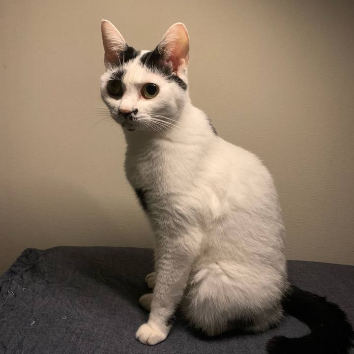 410de853 62ba 48d5 8e5d b7a2e781d385 1693386552467