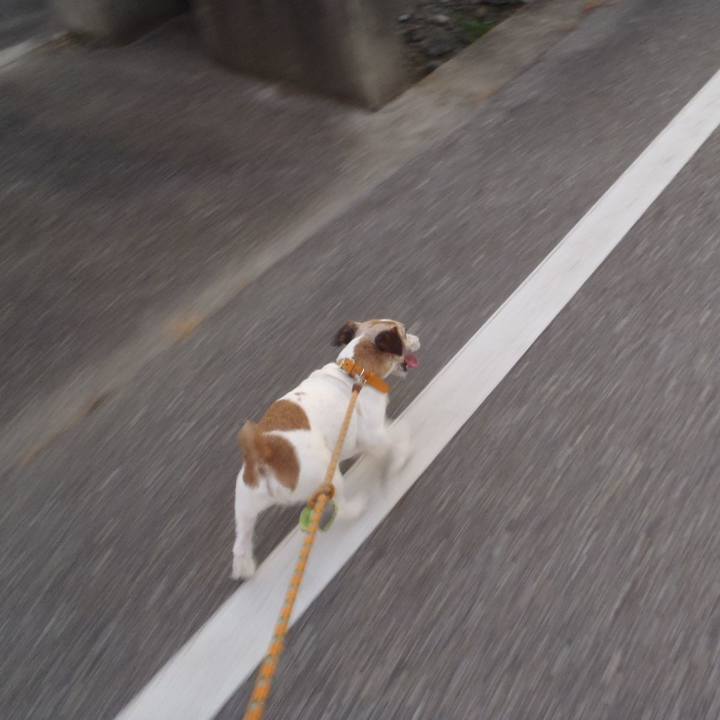 410e101b 3bfc 4a42 96bb 006e434ec52f 1532298625630