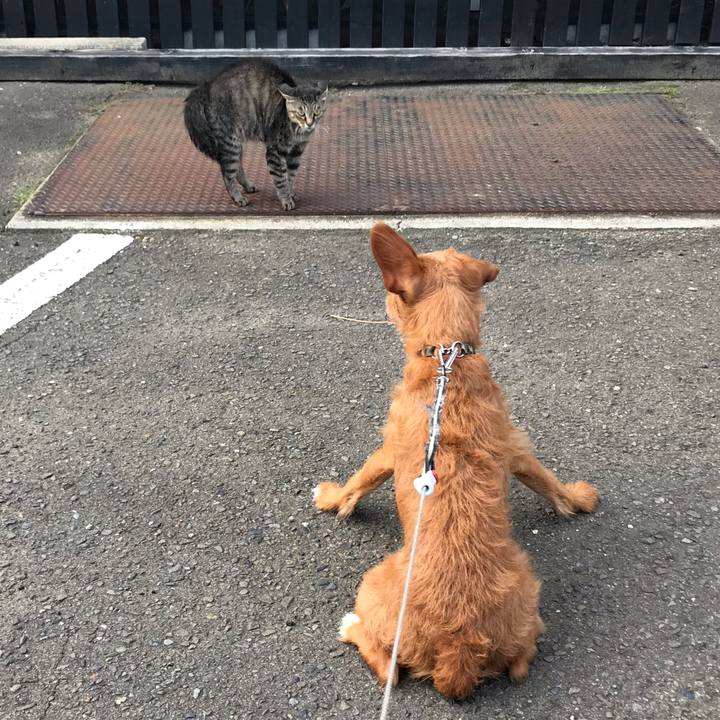 410e1901 ca85 4cfb 8804 25bc6462a1f3 1567590969238