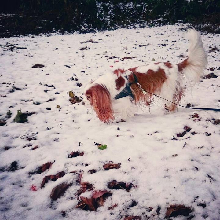 410e20e3 0105 427e 9bf5 b7f0f2dd8b68 1512529096532