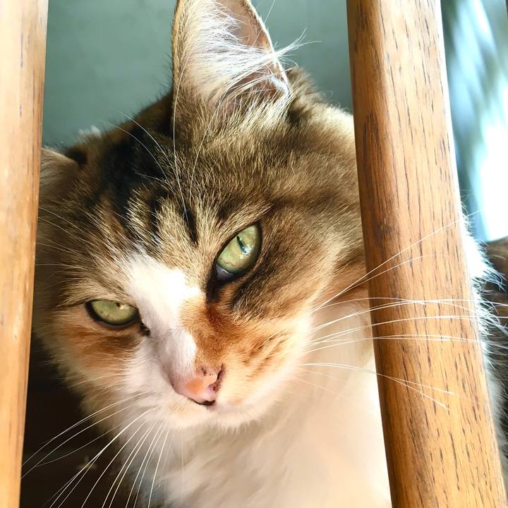 410e3100 4c2e 4702 b4b7 fa529cca7753 1601713946727