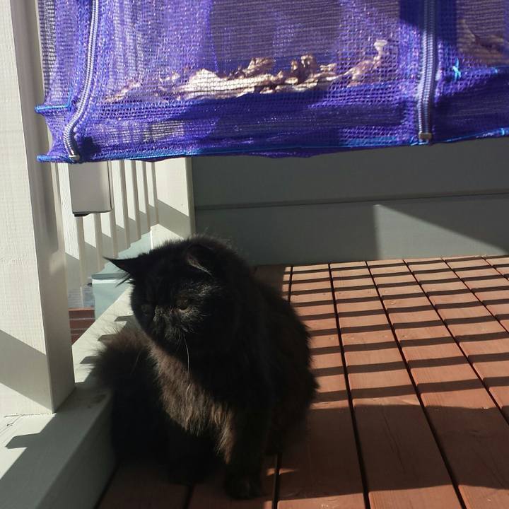 410e586b 3498 4d7c b0d7 440cf8cb0501 1512179844001