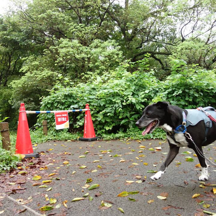 410e7faf ce37 4e5f a4b7 84683be9a72f 1725062177643