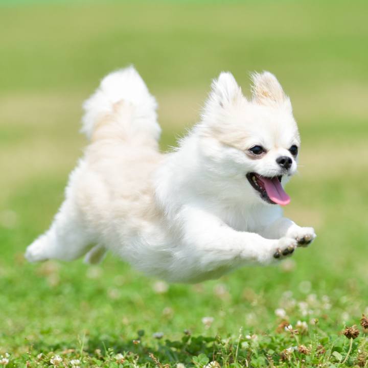 410ea938 856e 4841 8639 0c9a272b5857 1663578323378