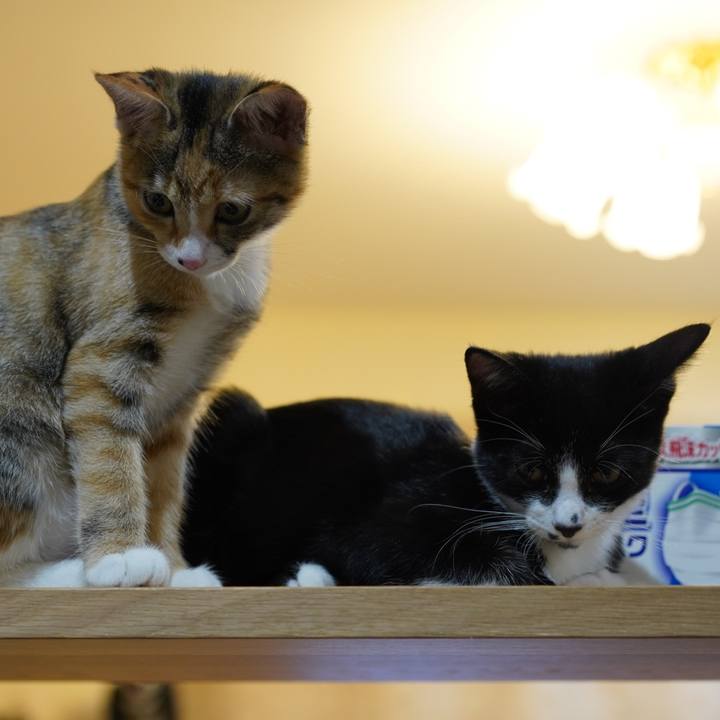 410ef71f 891c 492a 8db6 0aee7220e804 1571788017977