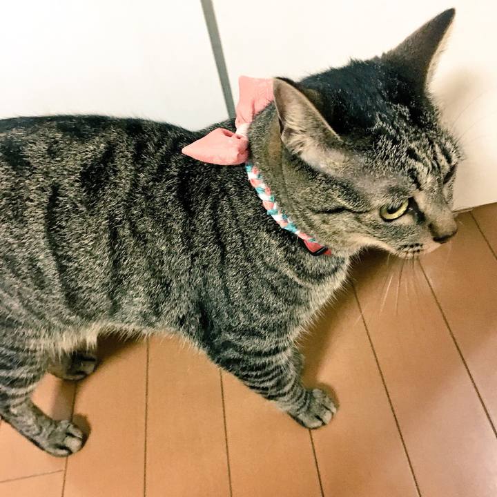 410f0159 1fc9 4697 912f f7c2b7831814 1531403082246