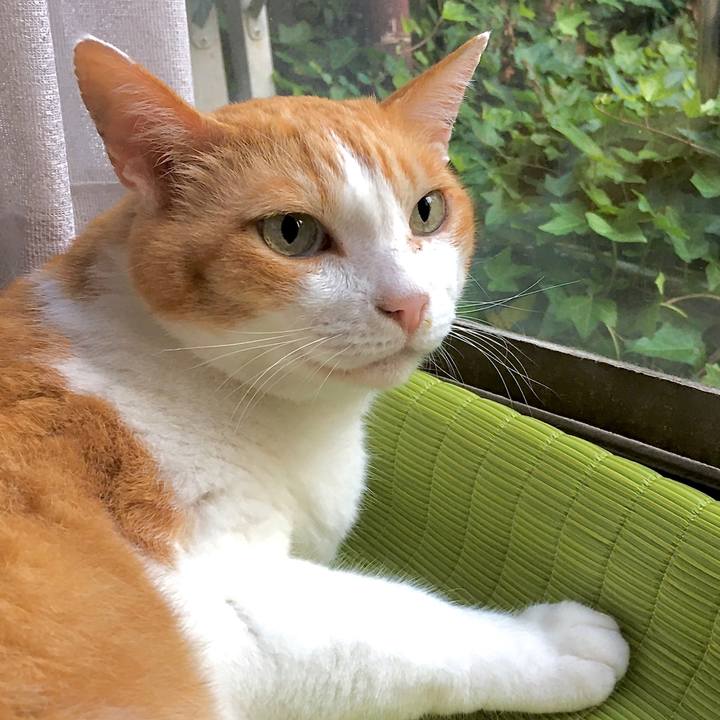 410f05c4 570e 43b2 bef6 25f82aa14e15 1596855997237