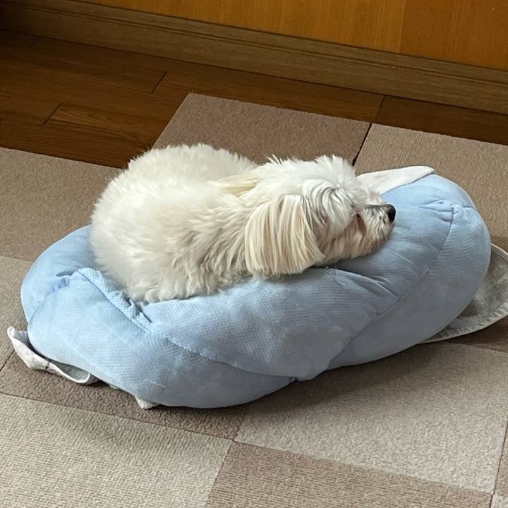 410f3022 5033 4e12 9de4 7a56f3e7ccac 1685508969779