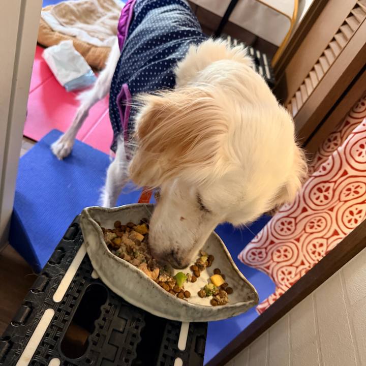 410f8065 a4c1 45eb bba4 9458dbf7242d 1763084925219