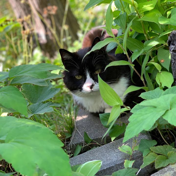 410fa7d8 d231 42a2 b503 929b49ff7a28 1596094304319