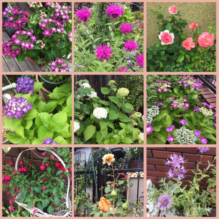 410fd8c5 42b4 44dd 974a 8b38714e59dd 1527549568705