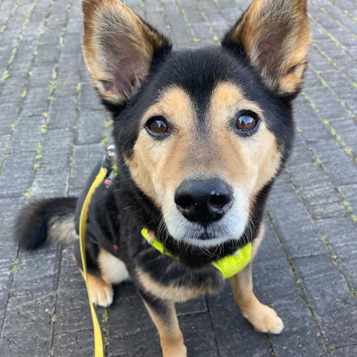 410ffd61 6ccb 4808 a4f9 5e80ab0fd0be 1714813135850