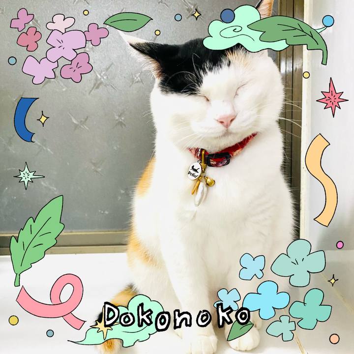 41101024 f9c2 4067 9b7f eb90275a51f0 1717599435070