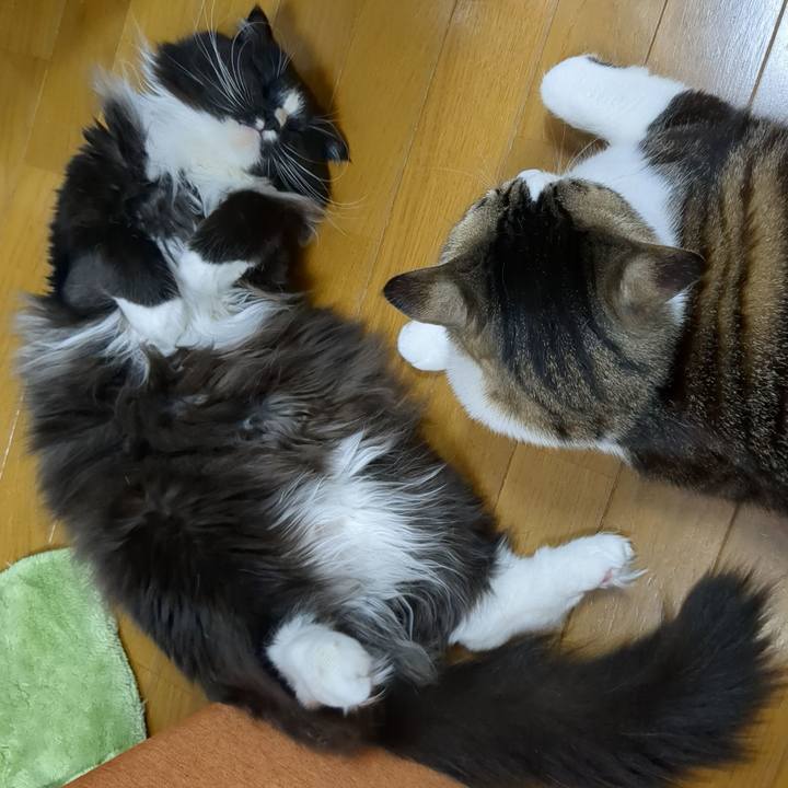 4110660a 1776 40f4 baed 0fad93963f81 1679440785490