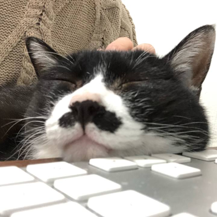 411075d7 9d89 4a8f 8537 5a2c653bc0d6 1586960486657