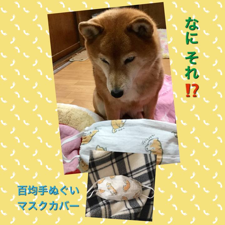 411091a4 93dc 4164 afba d0d790a42c69 1588063849249