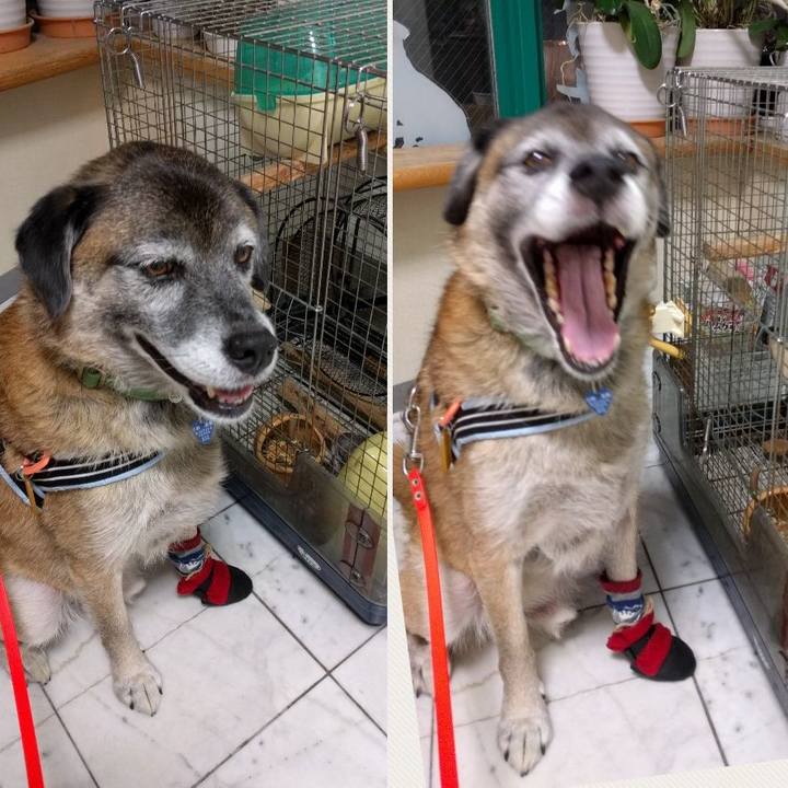 4110c9a1 37f3 44ff 8791 e46b2bf62997 1535202717742