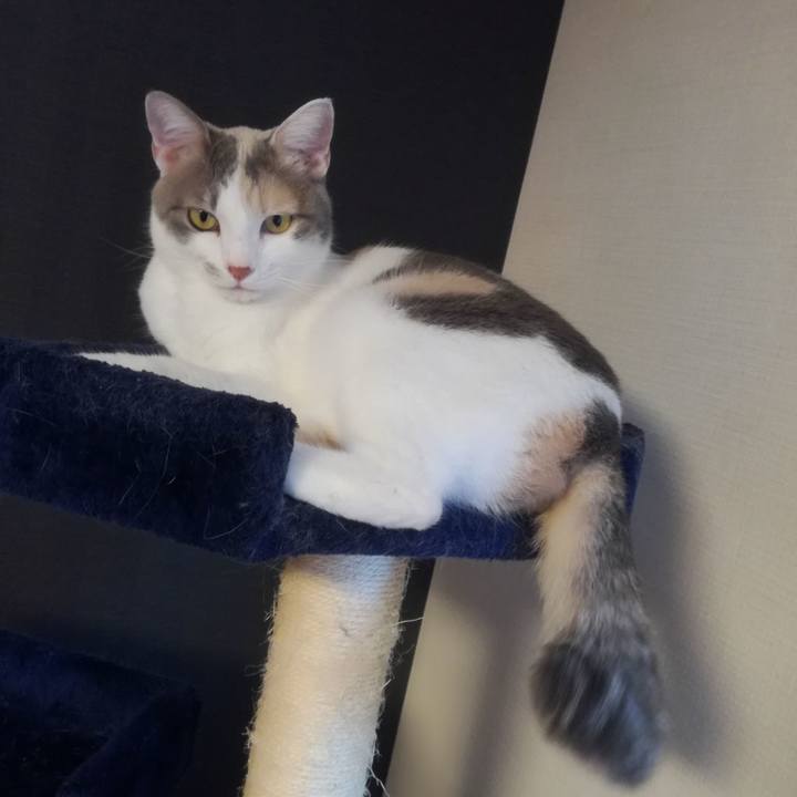 4110cfdc d7f6 47fa 8779 5ff733c7c4e4 1529829006372