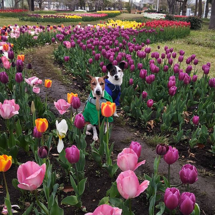 4110d813 94dd 4800 a664 c22c61592d73 1743895826662