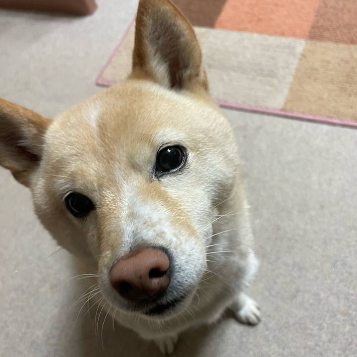 4110fa11 87b2 4cb1 abaf b6a2c27c0ce5 1670582653420