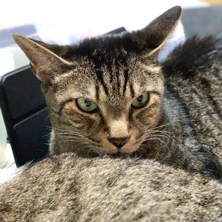 41110f57 01c2 4487 85bb f62bd4dae97c 1565137724669