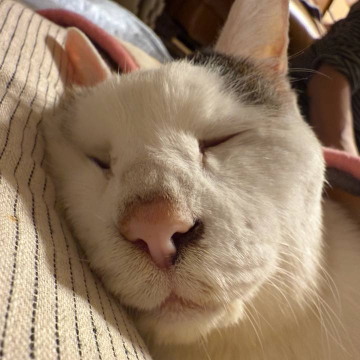 41112535 0777 4683 932c 583c31de338f 1761400576844