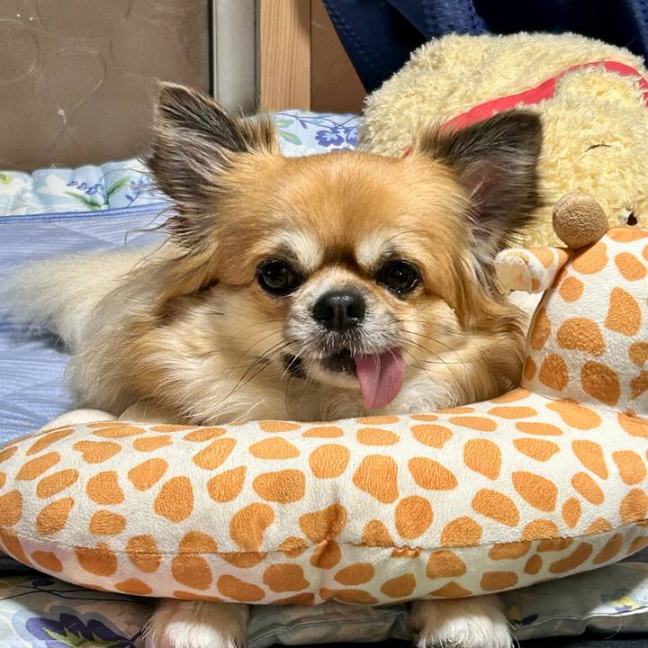 4111358a 5a4c 4ee9 b71f 697969c9249f 1759230544920