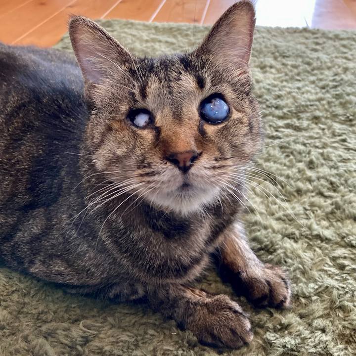 411173c1 75a5 4662 b125 a8744de5873b 1662691329107