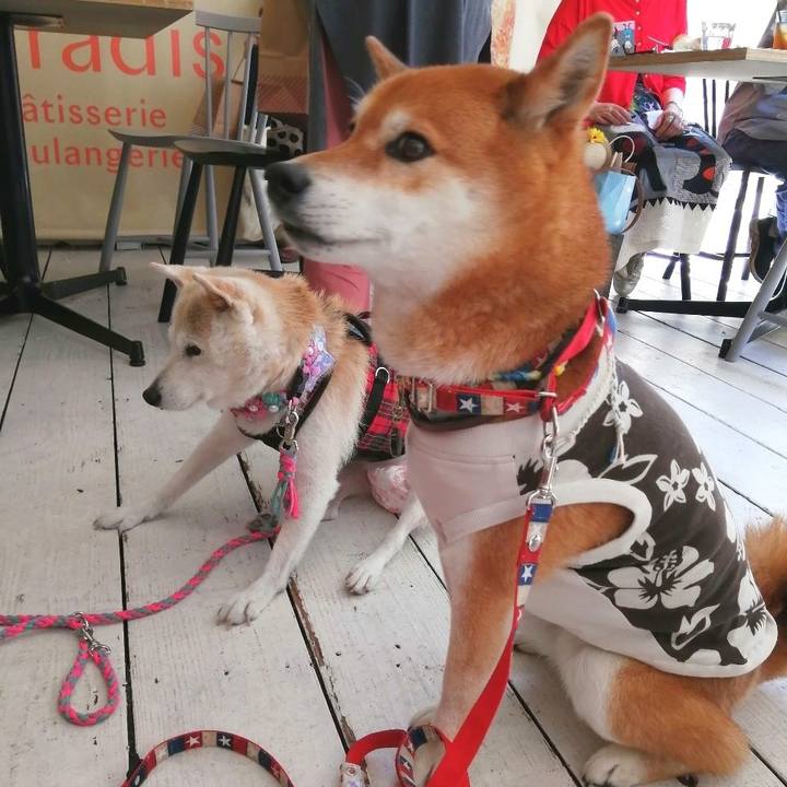 4111bd91 b96c 415f 80ec 5f070d85704c 1653308744029