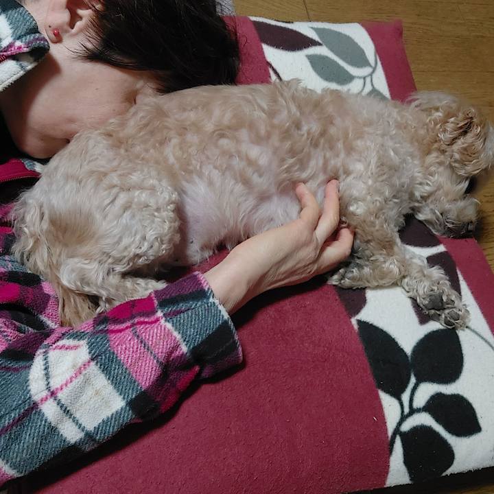 4111c9c5 adda 4e7b a104 f6f923113c5c 1704264310708