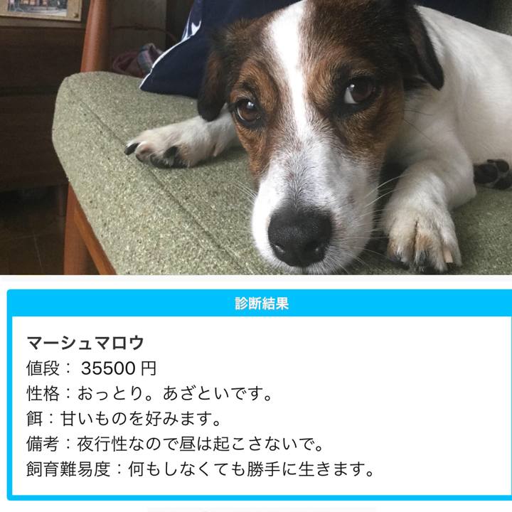 4111e31b 87c5 44d7 9156 d53e478b7a50 1529805885714