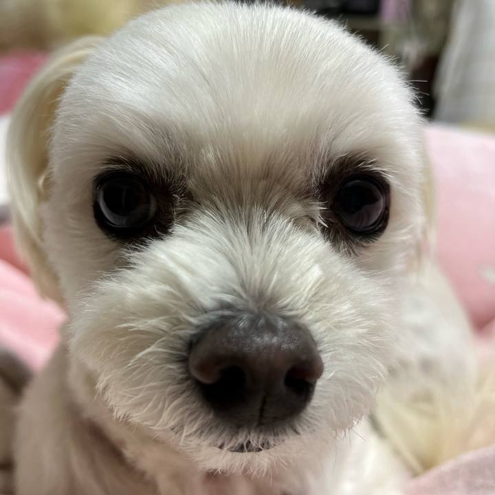 4111f8cb 9f9e 4f43 8505 76cbe6f26dda 1670567437609