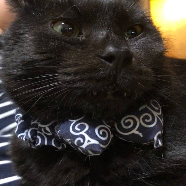 41121a26 2611 4532 8e1e 11e1036e8ac7 1577796798692