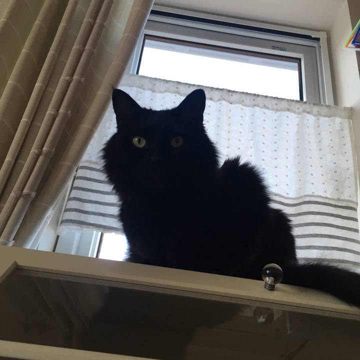 411250bc 3120 4edf a010 cf7a97c869a3 1528619692750