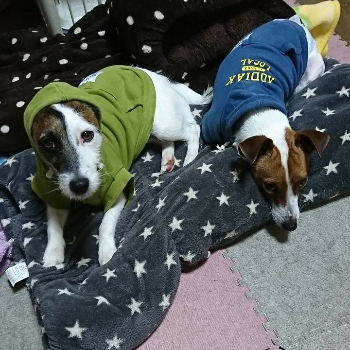 41125739 269b 40f4 b297 aac4d6c969f2 1555248066324