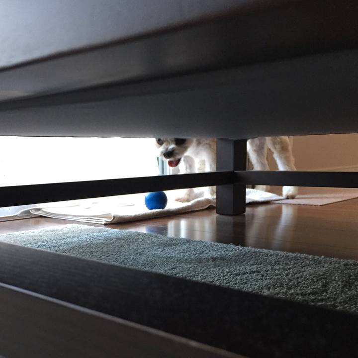 41125e3e 2f42 45f2 ad42 f99bbe0786e6 1534235566086