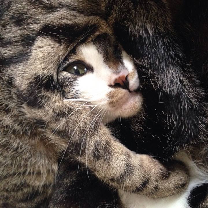 41127dac 1d18 4b72 a5e0 92f1a0983077 1510284578992